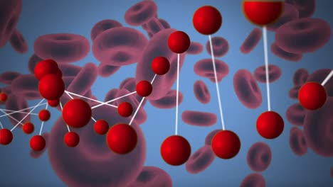 dna double helix and red blood cells