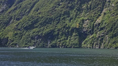 crucero milford sound de gira en el fiordo con montañas verdes en fiordland, nueva zelanda