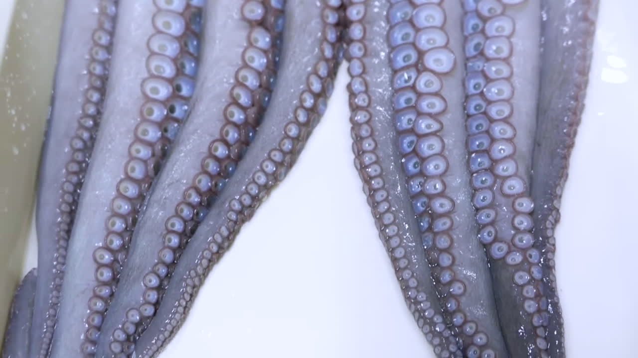 깨끗이 씻은 문어