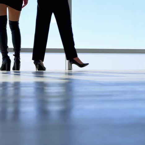 business people in modern office. female colleagues working in modern office