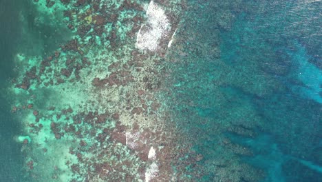 Toma-Aérea-Cinematográfica-4k-Del-Arrecife-De-Coral-De-La-Isla-De-Roatán,-Honduras