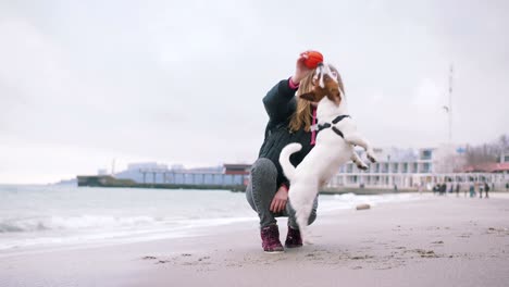 joven jugando con el perro jack russell en la playa cerca del mar, en cámara lenta