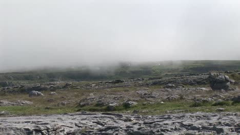 clare y 225