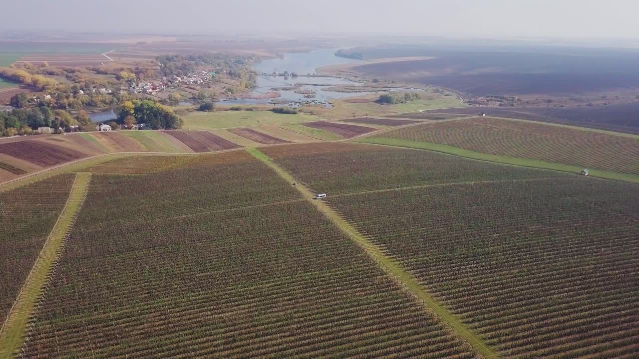 Aerial view of the apple orchard. Flight over fruit trees. Apple harvest.