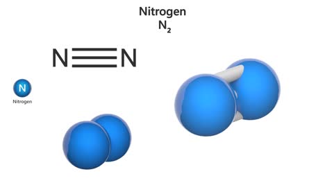 nitrogen (n2). seamless loop.