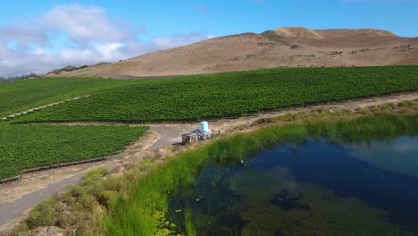 beautiful aerial of hilly vineyards in the grape growing region of californias santa rita appellation 2