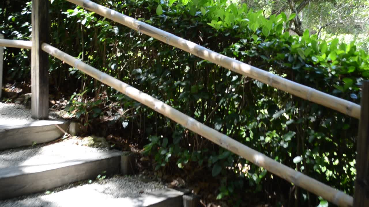 Scala nel giardino giapponese. La natura in un giardino