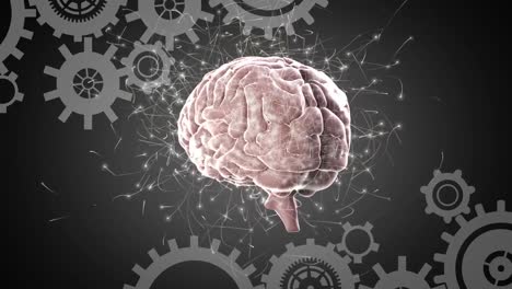 animación del cerebro girando sobre un fondo gris con engranajes y conexiones neuronales