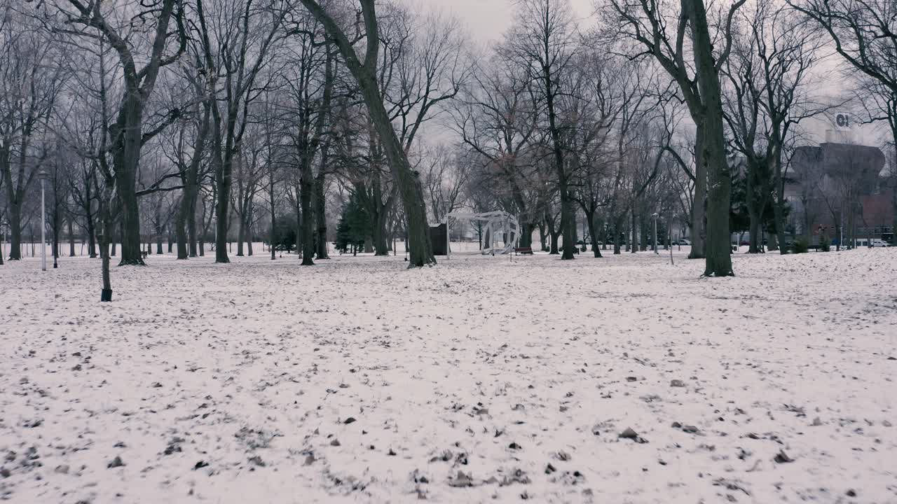 Scena invernale in un parco