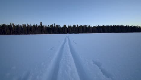 trail of a sled leading toward a forest over a frozen lake