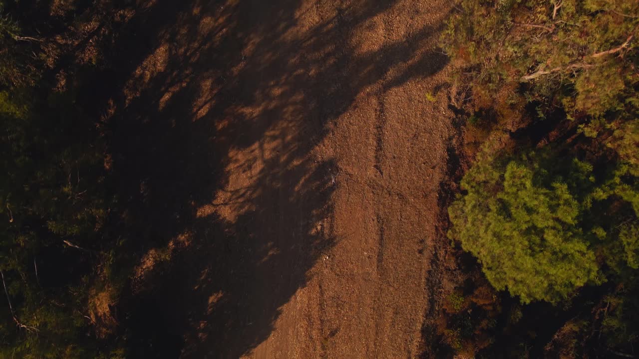vista aérea del camino que avanza y se inclina hacia arriba para revelar las montañas