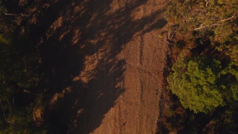 Aerial-view-of-path-moving-forward-and-tilting-up-to-reveal-the-mountains