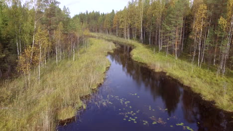 stunning drone footage of a remote river in the middle of the borealis wilderness
