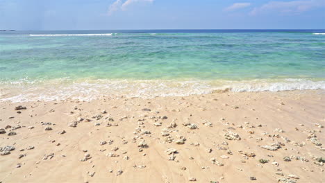 pieces of broken coral cover the beach with clear turquoise water in background