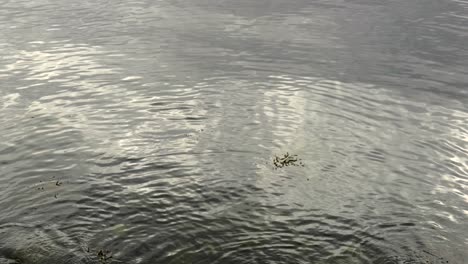 Light-dances-off-of-the-surface-of-an-oily-black,-reflective-ocean-with-gentle-waves-and-ripples