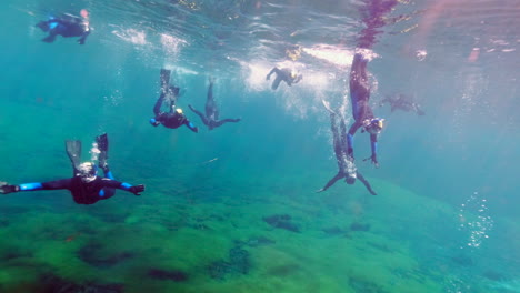 group of snorkeler diving in the crystal clear ewens pond during sunlight.sun reflection on water surface.exploring underwater world.