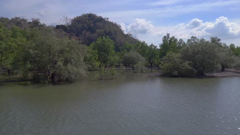 Manglares-Río-Vista-Exuberante-Vegetación-Cielo-Nublado