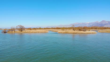 tranquil lagoon with calm clear water washing small islands with dry yellow reeds on beautiful shoreline of scutari lake