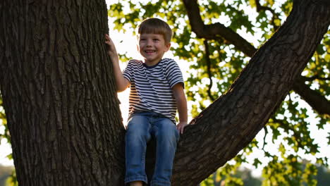 happy boy sits in a tree in a sunny park