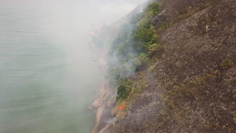 un avión volando a través del humo de un incendio en la ladera de una montaña cerca del mar, brasil