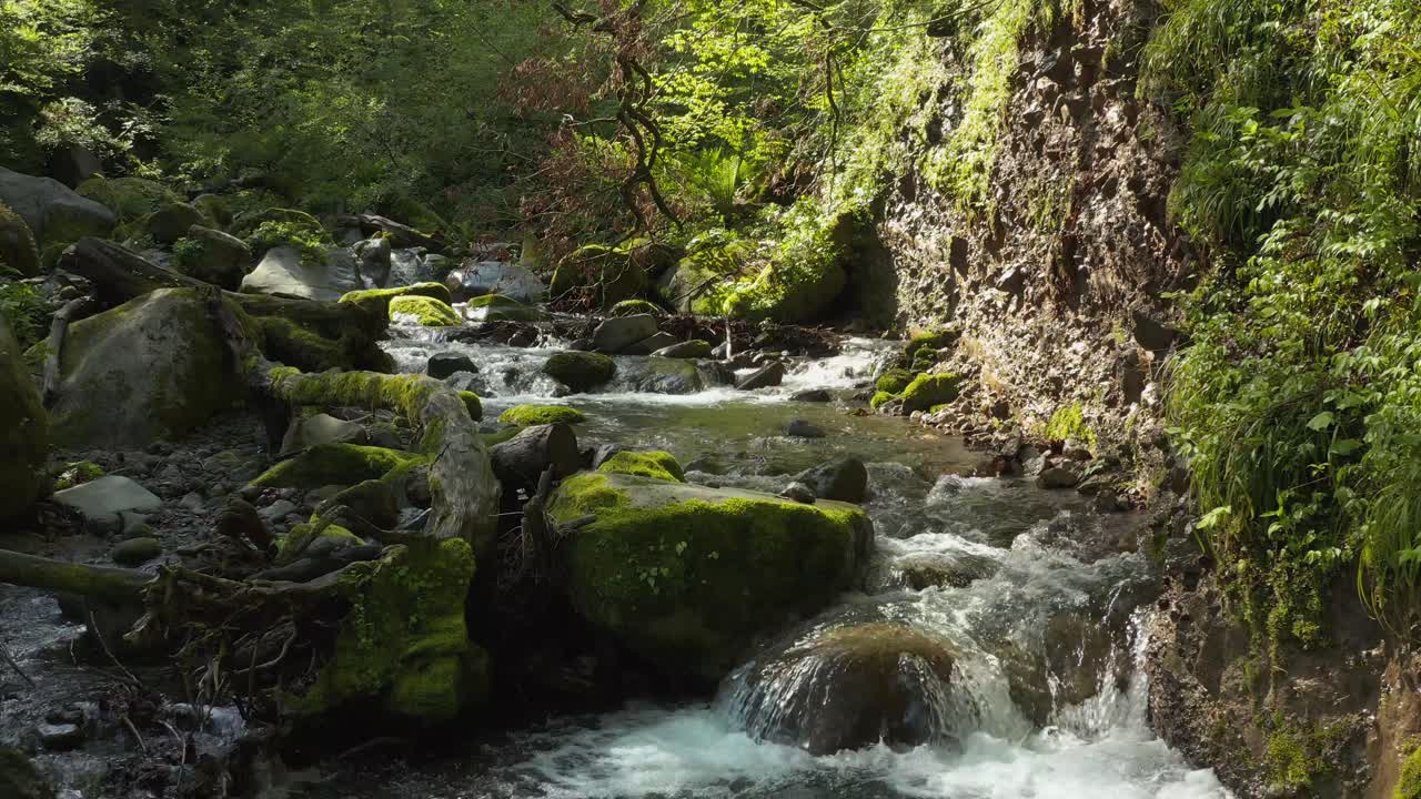 Uberørt natur i Daisen Nationalpark, Tottori-præfekturet, Japan.