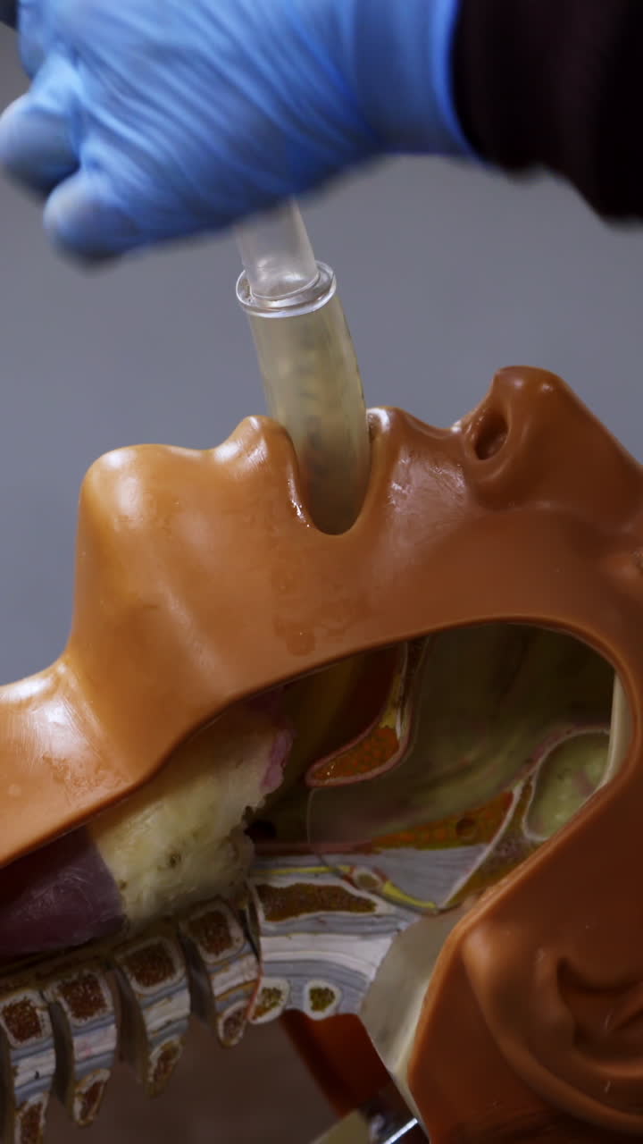 Practical course on a dummy's head. Student trying medical exercise at giving a resuscitation on a mannequin in the training center. Close-up. Vertical video