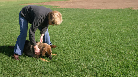 perro pastor con su dueño en la granja 4k