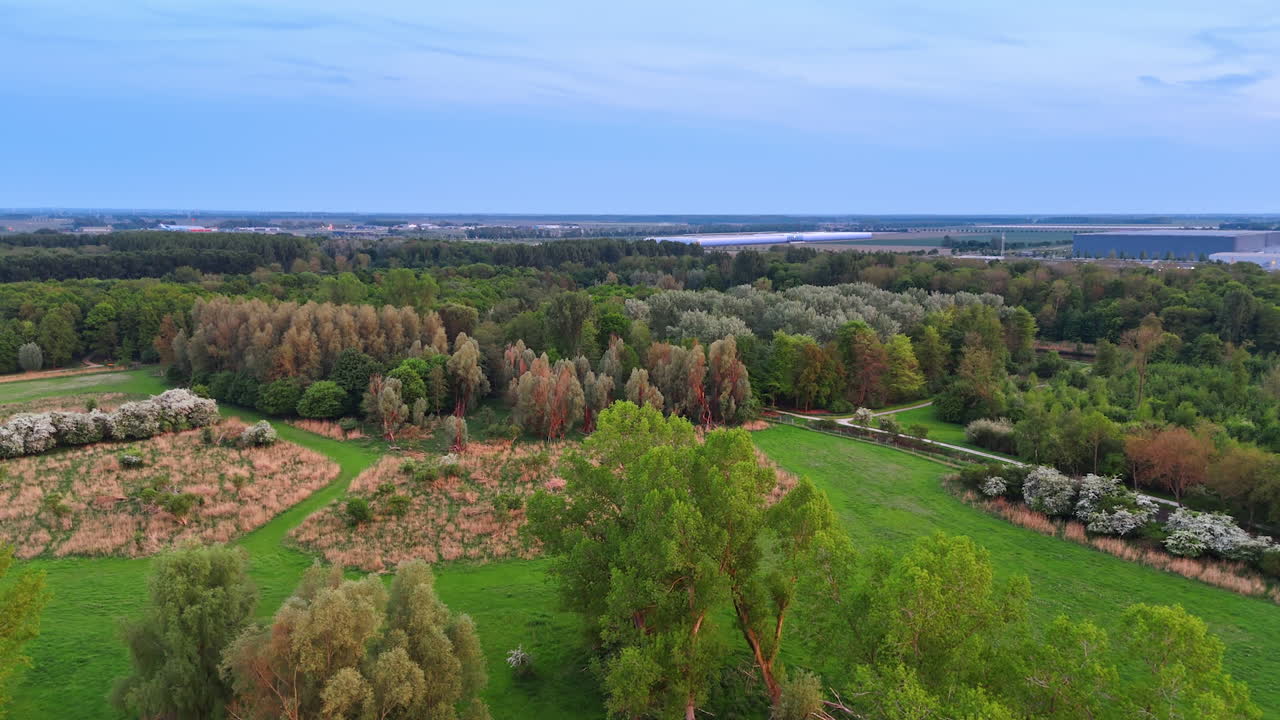 Tranquil green fields abound. A vast landscape features diverse trees, fields, and distant buildings under a calm sky during twilight