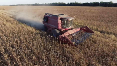 Combine-Harvests-Of-Sunflower-Airview