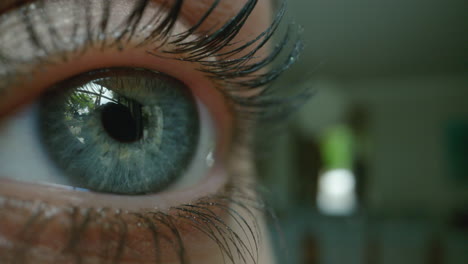 reflejo del ojo humano en el iris vista sana