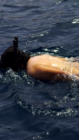 person snorkeling in the ocean