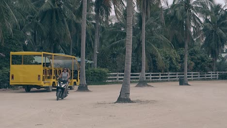 slim-woman-moves-on-luxurious-motorbike-against-high-palms