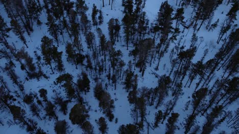 Last-sunlight-of-the-day-over-the-snowy-Colorado-Rocky-Mountains-before-blue-hour,-aerial