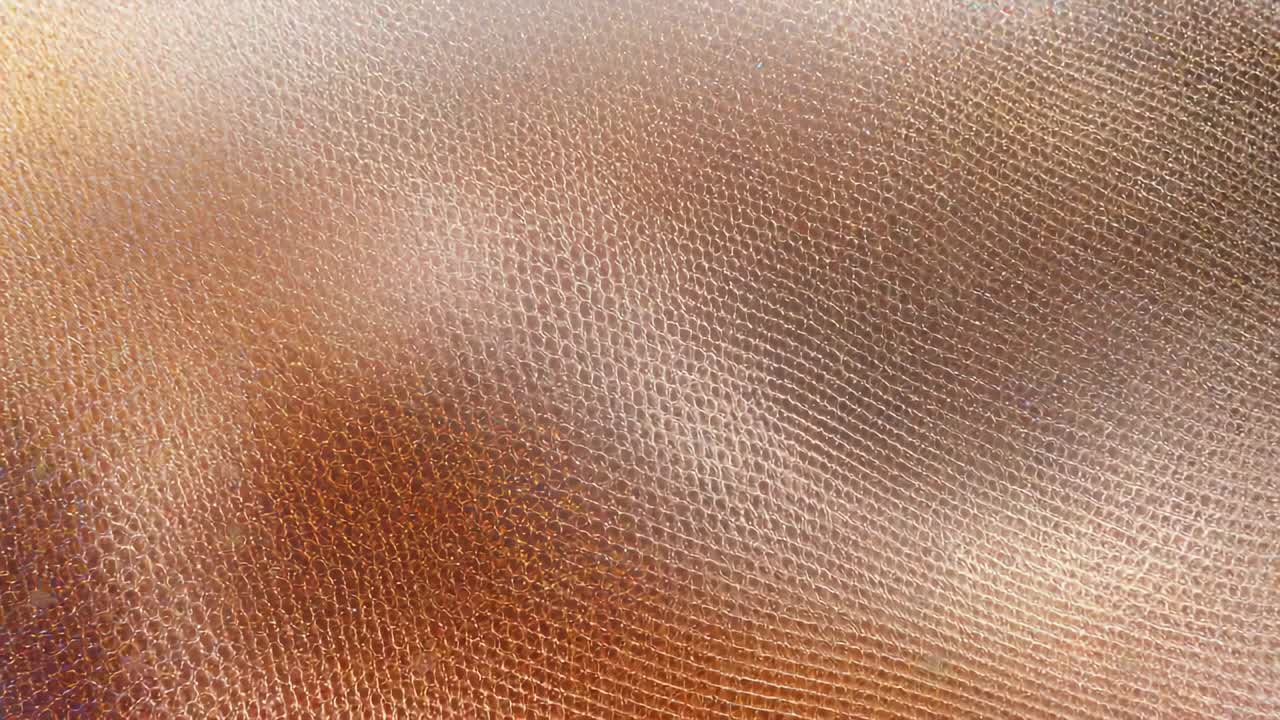 Warme Highlights im Wechsel, braune Narbenlederoberfläche, die aus der Nahaufnahme eine flache Delle formt