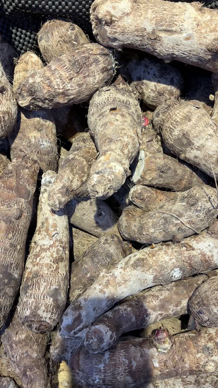 Primo piano di radici di taro fresche accatastate in un mercato.