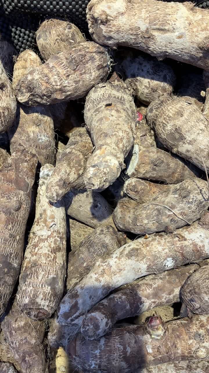 Primo piano di radici di taro fresche accatastate in un mercato.