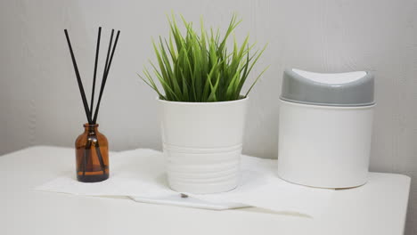 minimalist tabletop setup showing green indoor plant in white pot beside brown bottle with black diffuser sticks and white plastic container with grey lid, placed neatly on paper towel