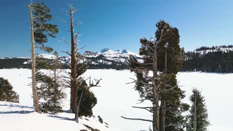 Aerial-view-of-Caples-Lake,-California-winter-landscape