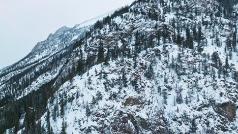 aerial drone ascend along rugged snow capped mountain landscape, dense evergreen forests below on edge of slope