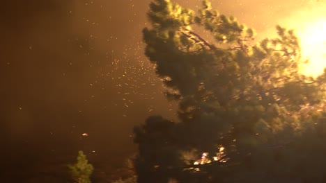 gran brasa fundida en fuego de matorrales