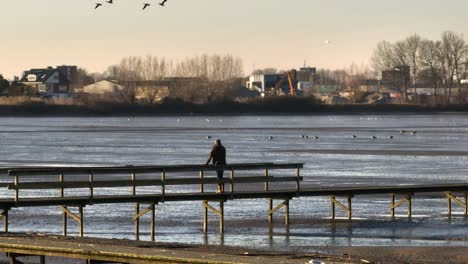 Low-and-fast-aerial-orbiting-view-of-a-person-standing-on-a-wooden-walkway-above-the-tidal-flats-of-sophiapolder-in-the-Netherlands