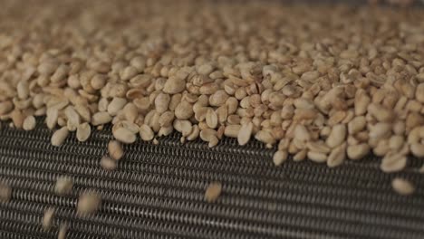 many seeds. sunflower seeds baking machine. moving fried sunflower seeds come out of the machine. food production