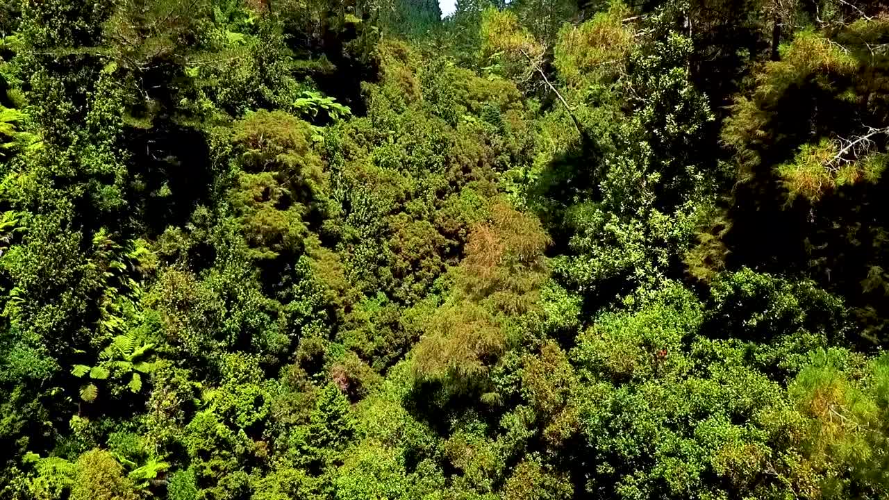 un hermoso río cristalino de agua de manantial natural que fluye a través de las montañas de nueva zelanda