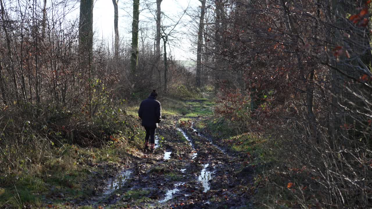 Camminare su un sentiero fangoso attraverso la foresta nel tardo autunno, campagna francese
