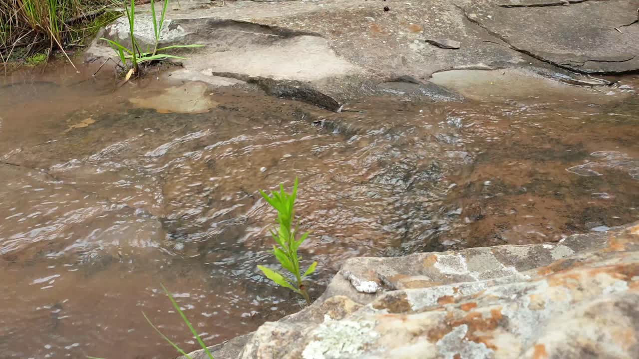 녹색 식물이 있는 거대한 사암 석판 아래로 흐르는 산 샘물에서 흐르는 물, 맑은 식수, 고요하고 평화로운 고요한 느린 동작 영상