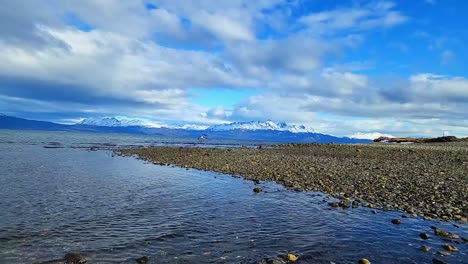 Gaviotas-A-Orillas-Del-Canal-Beagle-Al-Sur-De-Argentina