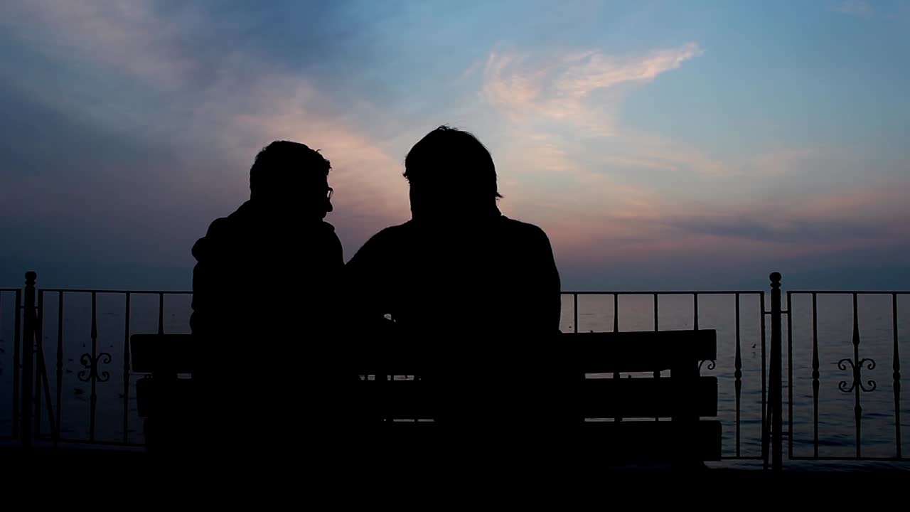 해가 지는 두 친구의 실루 ⁇  1