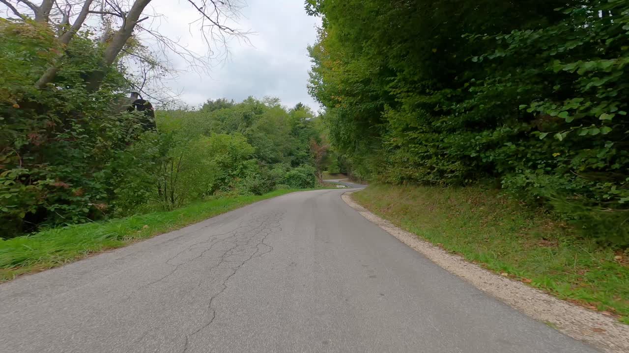 화창한 날 숲길을 달리다