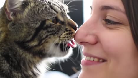 a heartwarming moment of connection between a woman and her cat, featuring a close-up interaction where gaze meets gaze in a playful display of affection