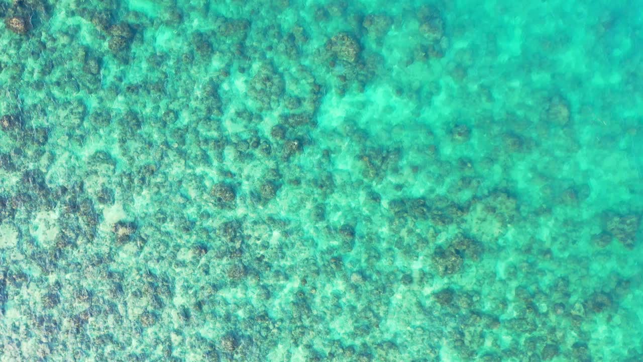 Beautiful sea texture with corals growing on white sand of seabed under calm clear water of turquoise lagoon in Caribbean